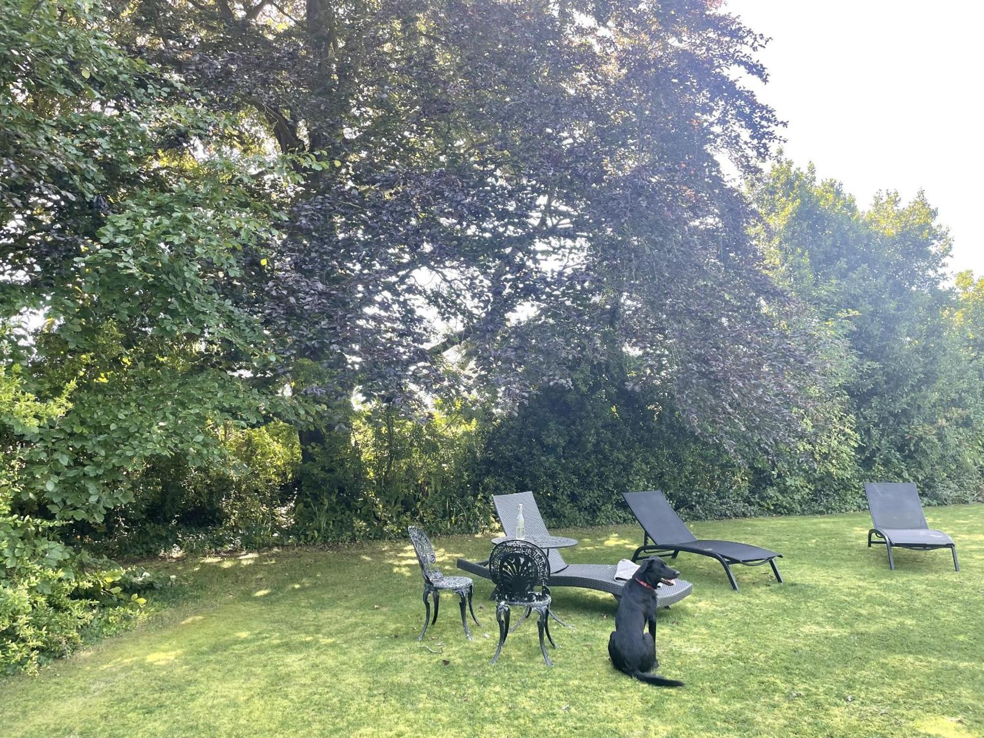 The Mount Somerton Retreat - Nr Bruton, Glastonbury, The Spectacular Wells Cathedral, Millfield School, Leonardo Helicopters, Yeovilton Εξωτερικό φωτογραφία